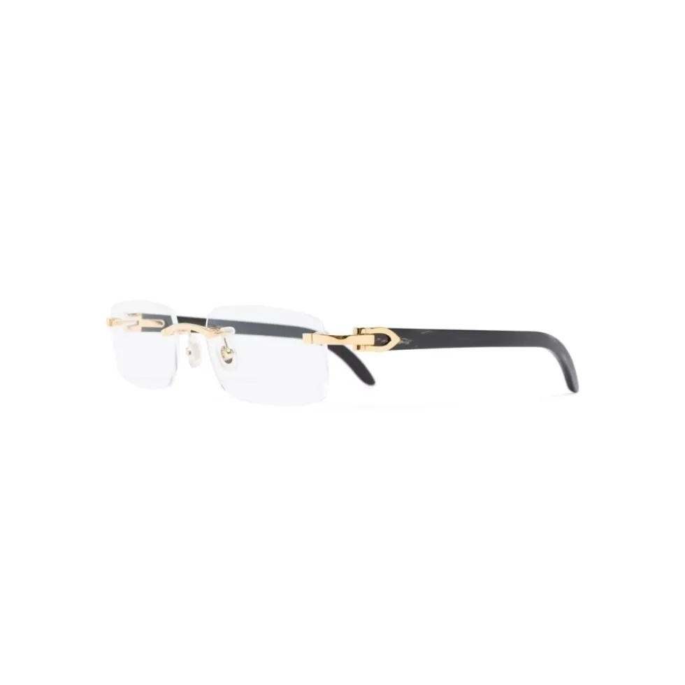 CT0049O 001 Optisk Brille