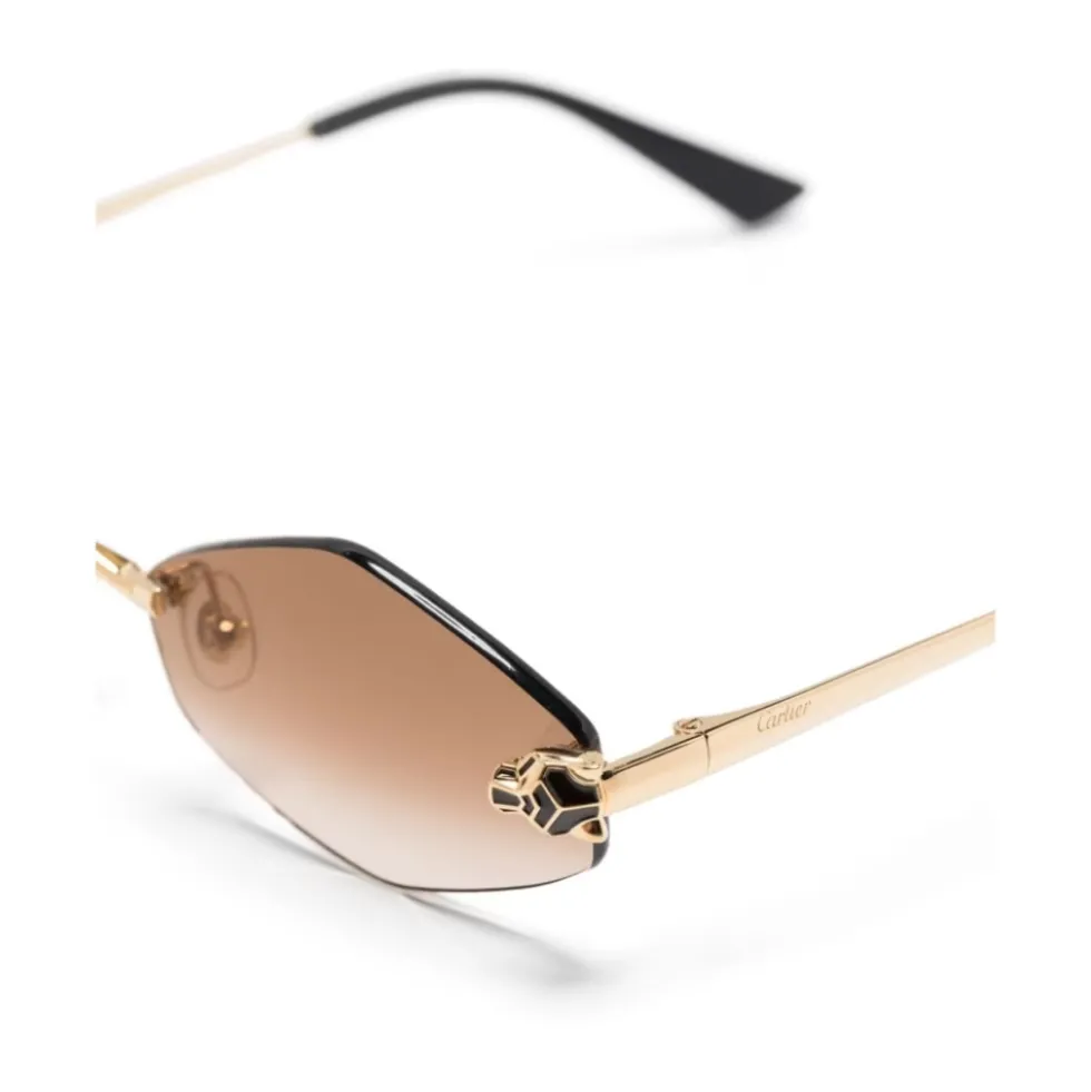 CT0433S 002 Sunglasses