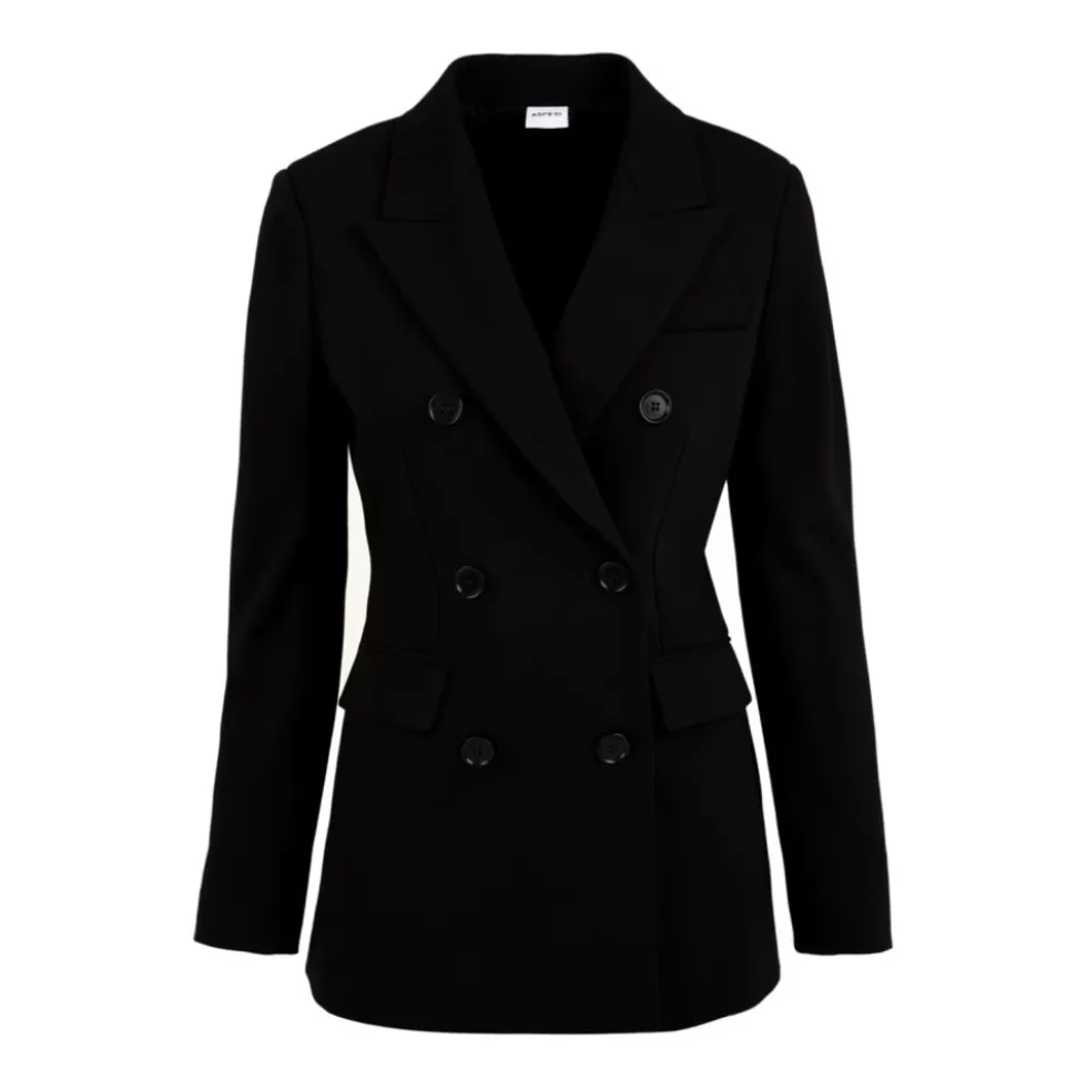 Elegant Blazer