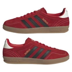 Gazelle Indoor