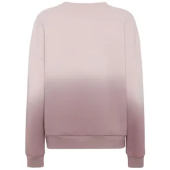 Hooded Sweatshirt Degrade