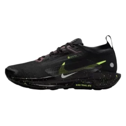 Pegasus Trail 5 GORE-TEX