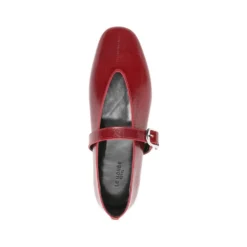 STELLA
