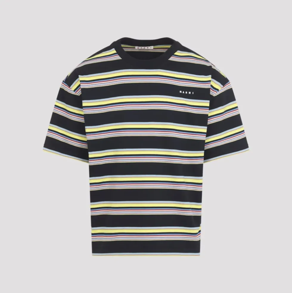 Stribet T-shirt i bomuld