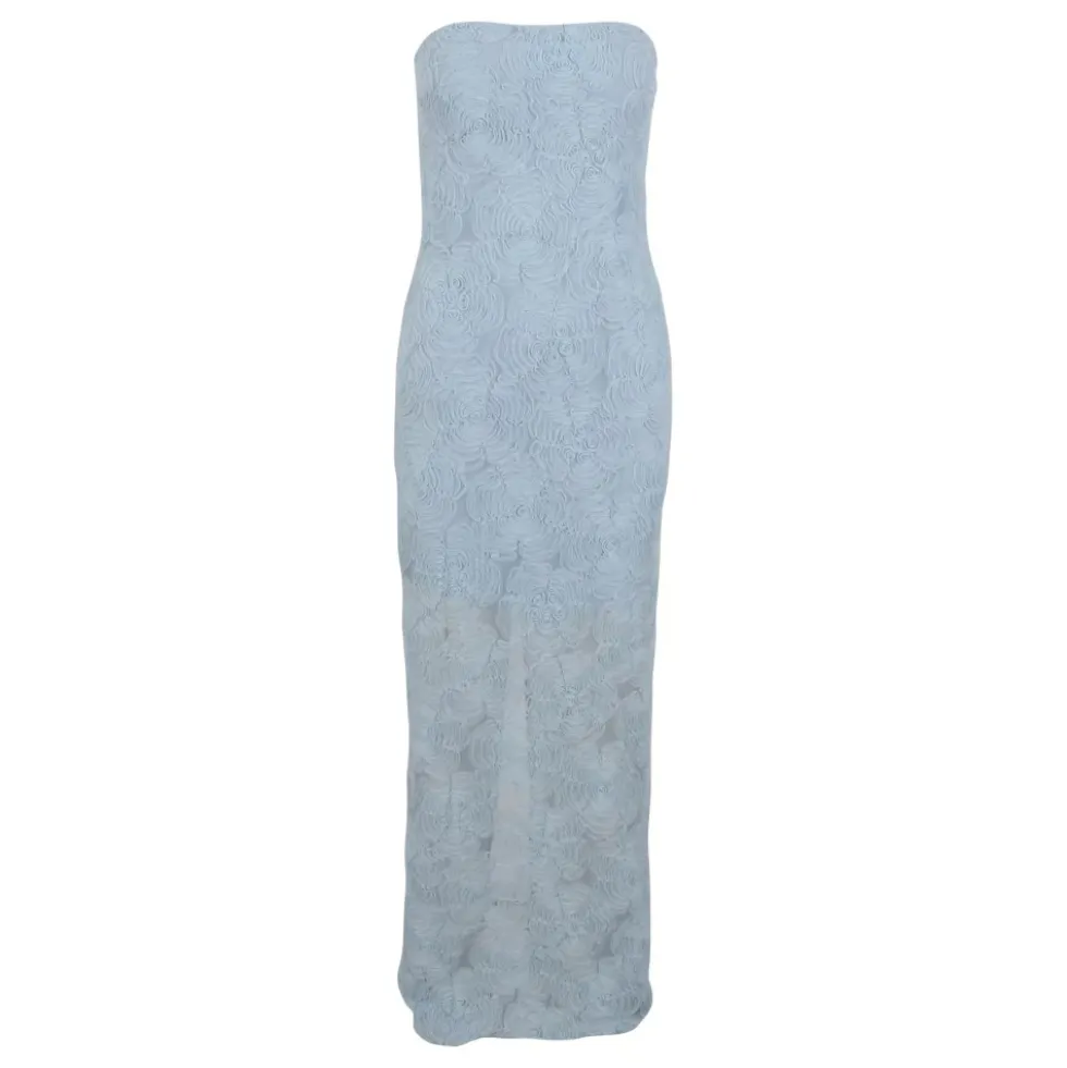 Textured Mesh Floral Tube Dress