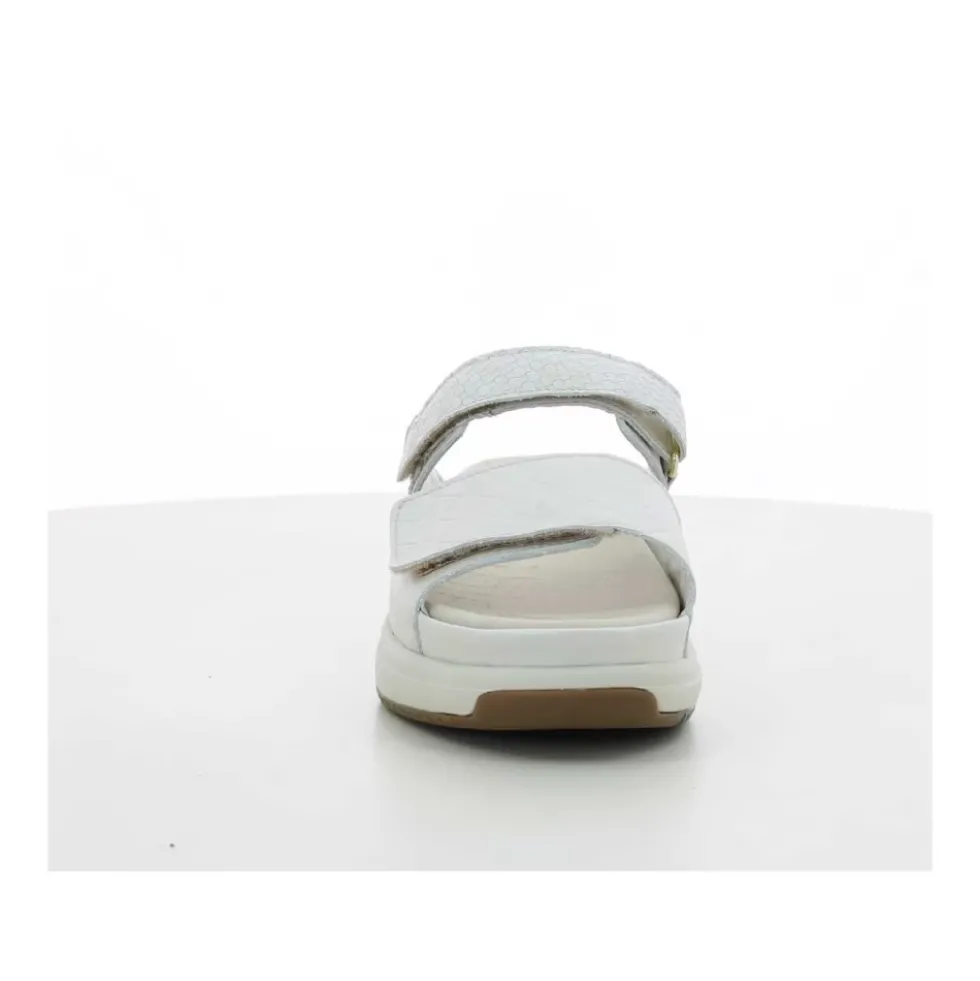 Tobago Slider
