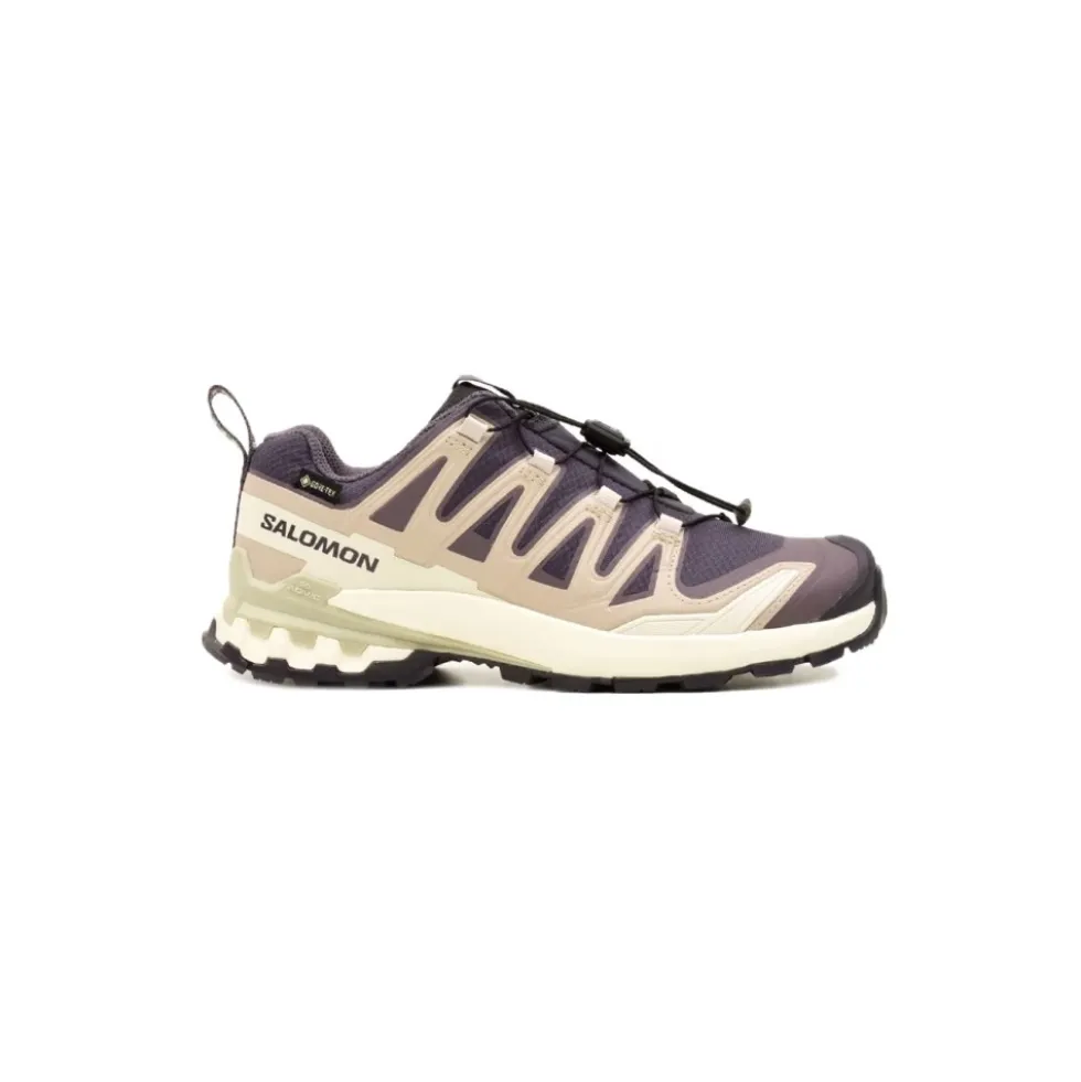 XA Pro 3D V9 Gore-Tex Trail Shoe